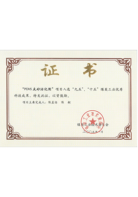 2005年1月PCAS灰砂活化劑獲“九五、十五”科技成果獎